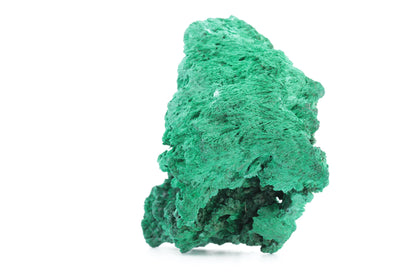 Imposante Malachite Fibreuse – République Démocratique du Congo