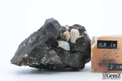 Mélanite et orthose sur gangue, 64g, Maroc