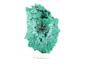 Malachite Fibreuse du Congo – Spécimen Cristallisé de 59g