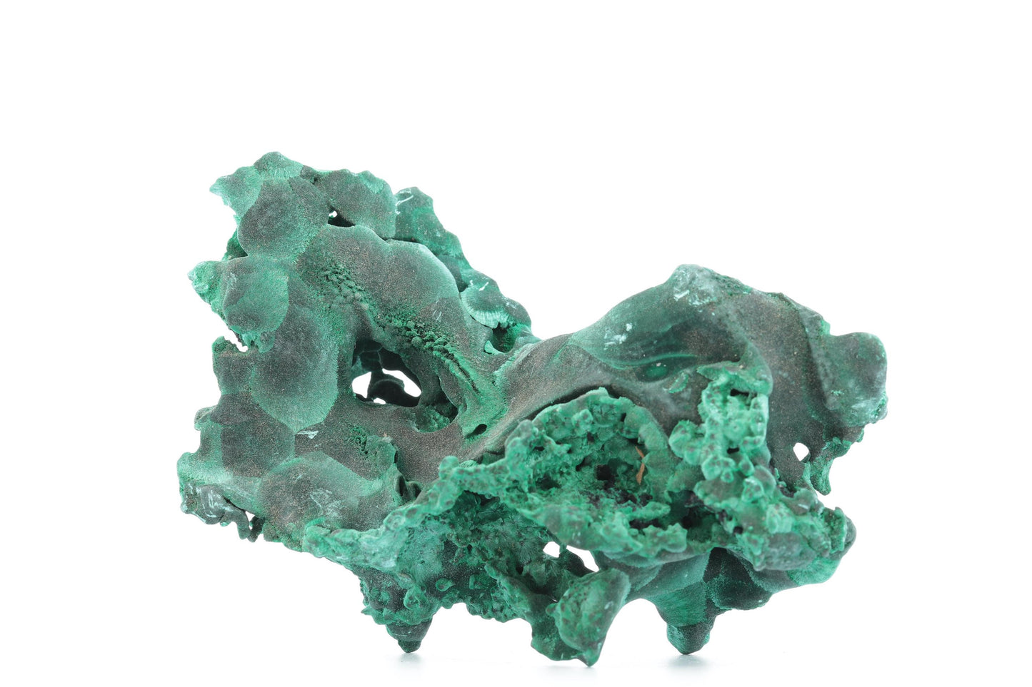 Malachite Botryoïdale et Fibreuse – République Démocratique du Congo