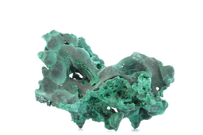 Malachite Botryoïdale et Fibreuse – République Démocratique du Congo