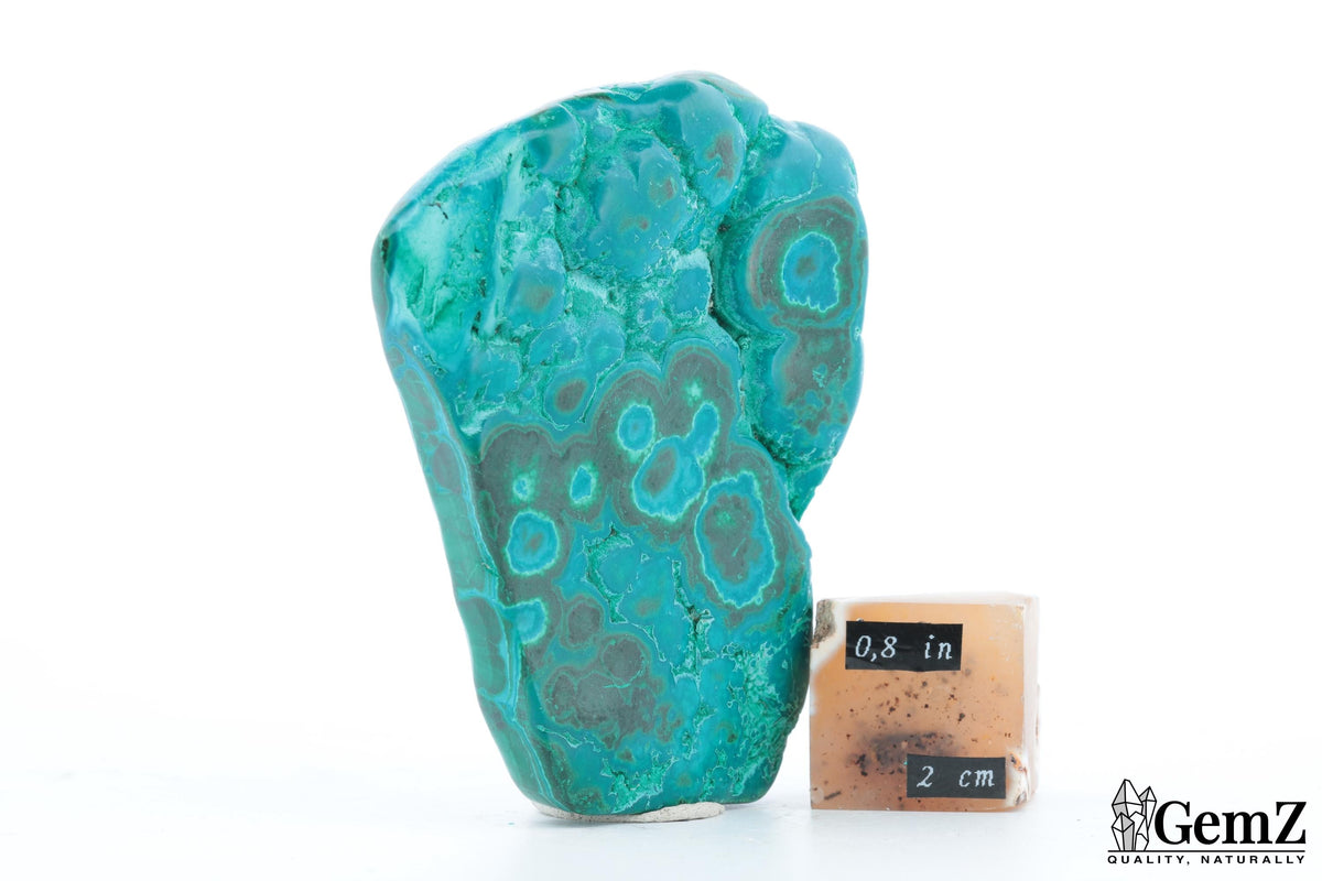 Chrysocolle-malachite polie, cercles vert émeraude – Congo RDC – 93 g