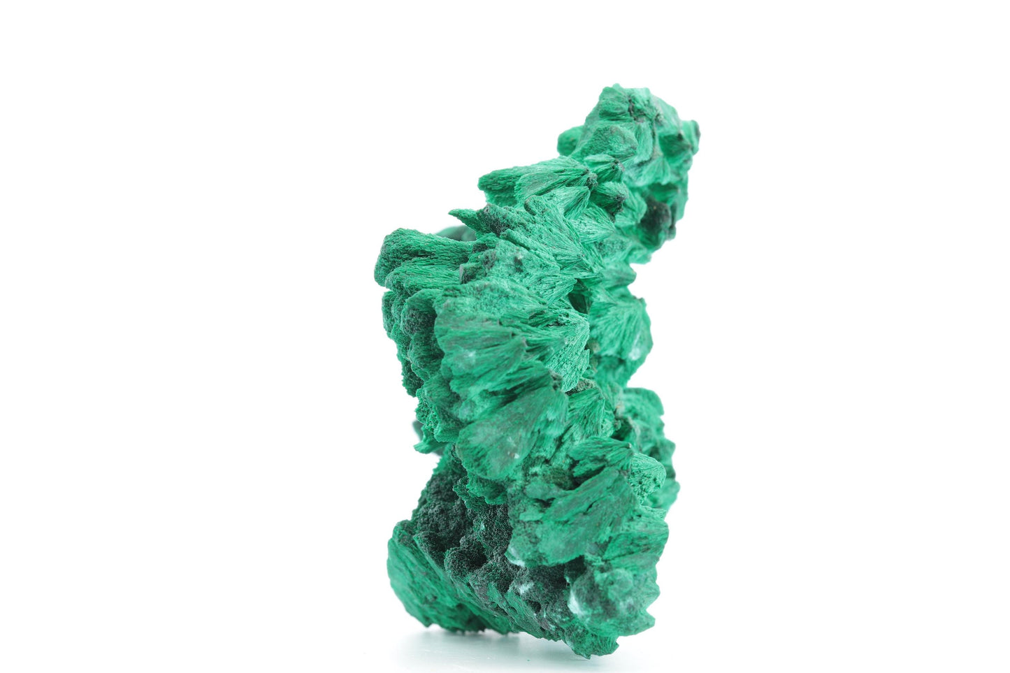 Malachite Fibreuse du Congo – Spécimen Cristallisé d'Exception de 194g