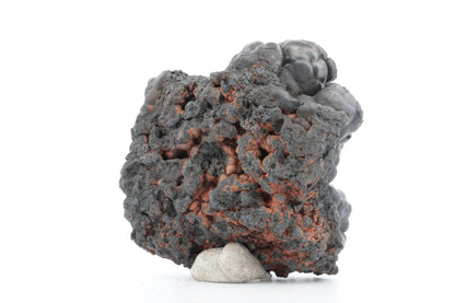 Goethite Botryoïdale du Maroc – 266g