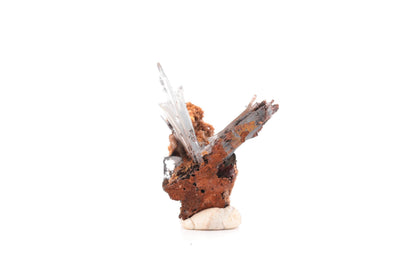 Baryte bleue sur goethite – Sidi Lhcen, Nador, Maroc – 14,7 g