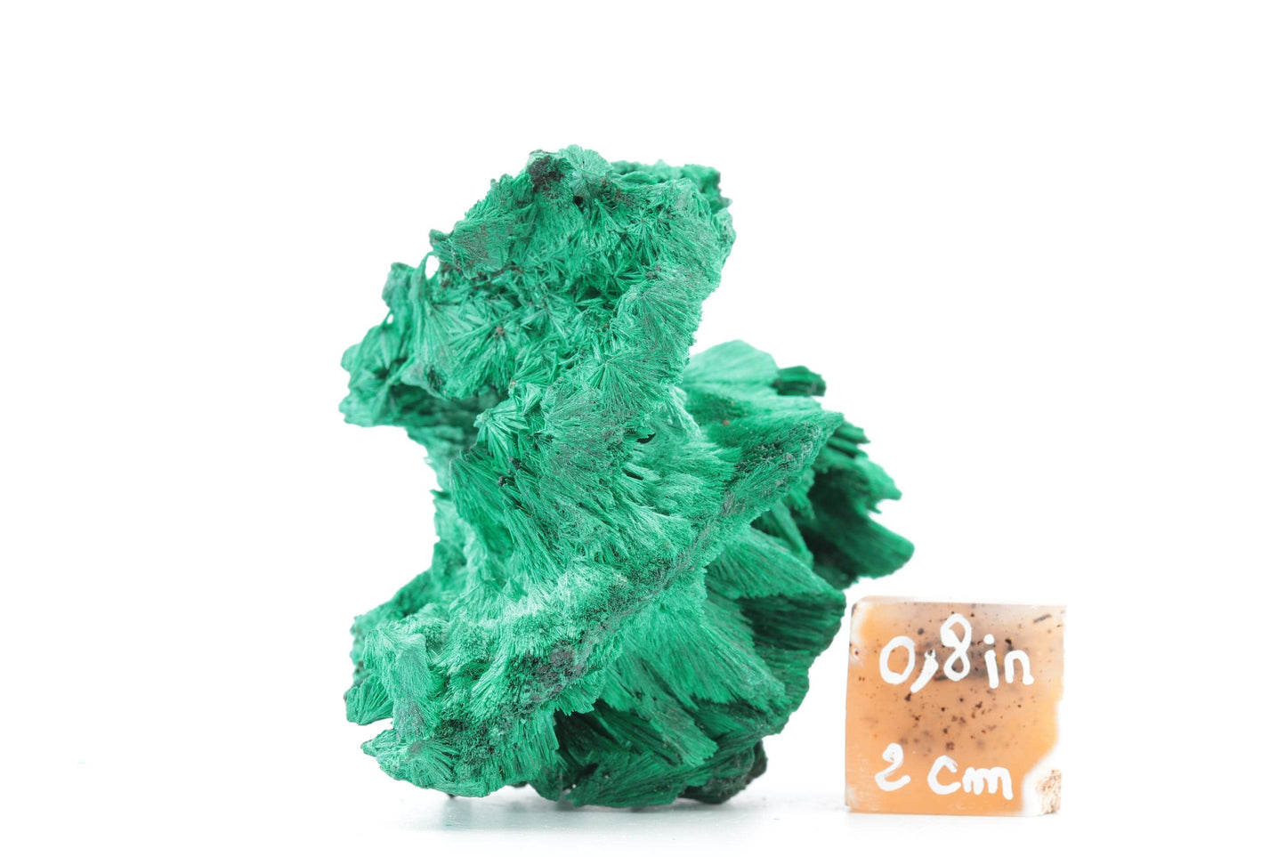 Malachite Fibreuse du Congo – Spécimen Naturel Élégant de 129g