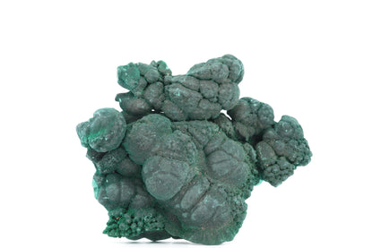 Malachite botryoïdale brute - 97g - Congo - Spécimen unique pour collectionneurs