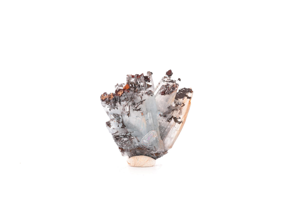 Baryte bleue sur goethite – Sidi Lhcen, Nador, Maroc – 20 g
