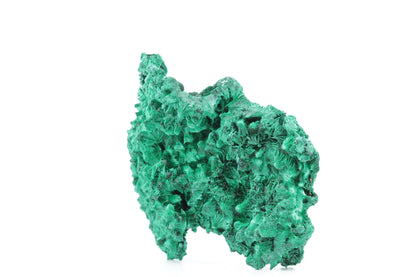 Exceptionnelle Malachite Fibreuse – République Démocratique du Congo