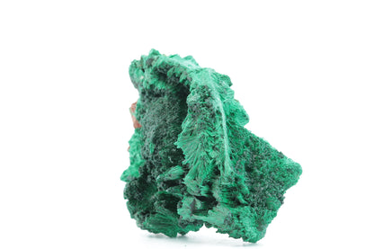 Malachite Fibreuse du Congo – Spécimen Naturel Unique de 122g