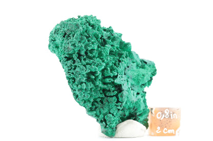 Malachite Fibreuse du Congo – Spécimen Cristallin Unique de 189g