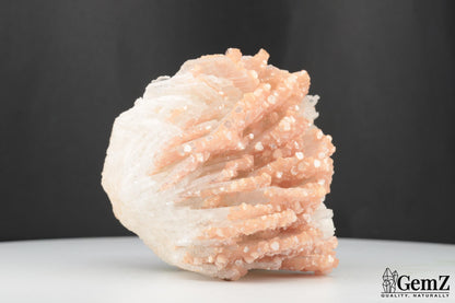 Splendide Cleavelandite de Minas Gerais, Brésil – 194g de Pures Merveilles Minérales