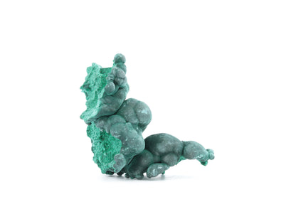 Malachite fibreuse botryoïdale - 47g - Congo - Spécimen unique pour collection