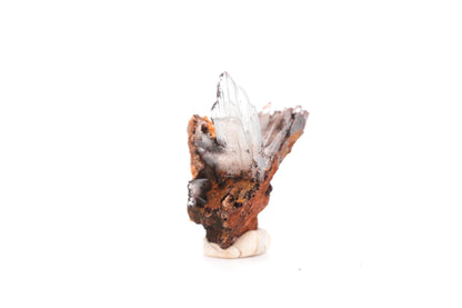 Baryte bleue sur goethite – Sidi Lhcen, Nador, Maroc – 14,7 g