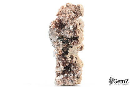 303g !  Arsénopyrite, Sidérite et Calcite, pièce de musée – Panasqueira, Portugal