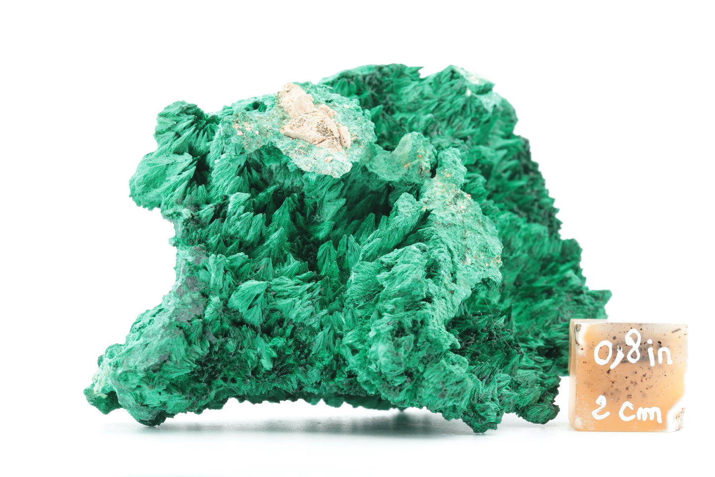 Malachite Fibreuse du Congo – Pièce Naturelle Exceptionnelle de 360g