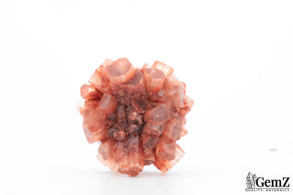 Aragonite Rouge du Maroc – 47g de Cristallisation Radiale Parfaite