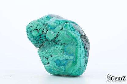 Chrysocolle-Malachite Brute, 116g, Motifs Fossilisés et Couleurs Vibrantes