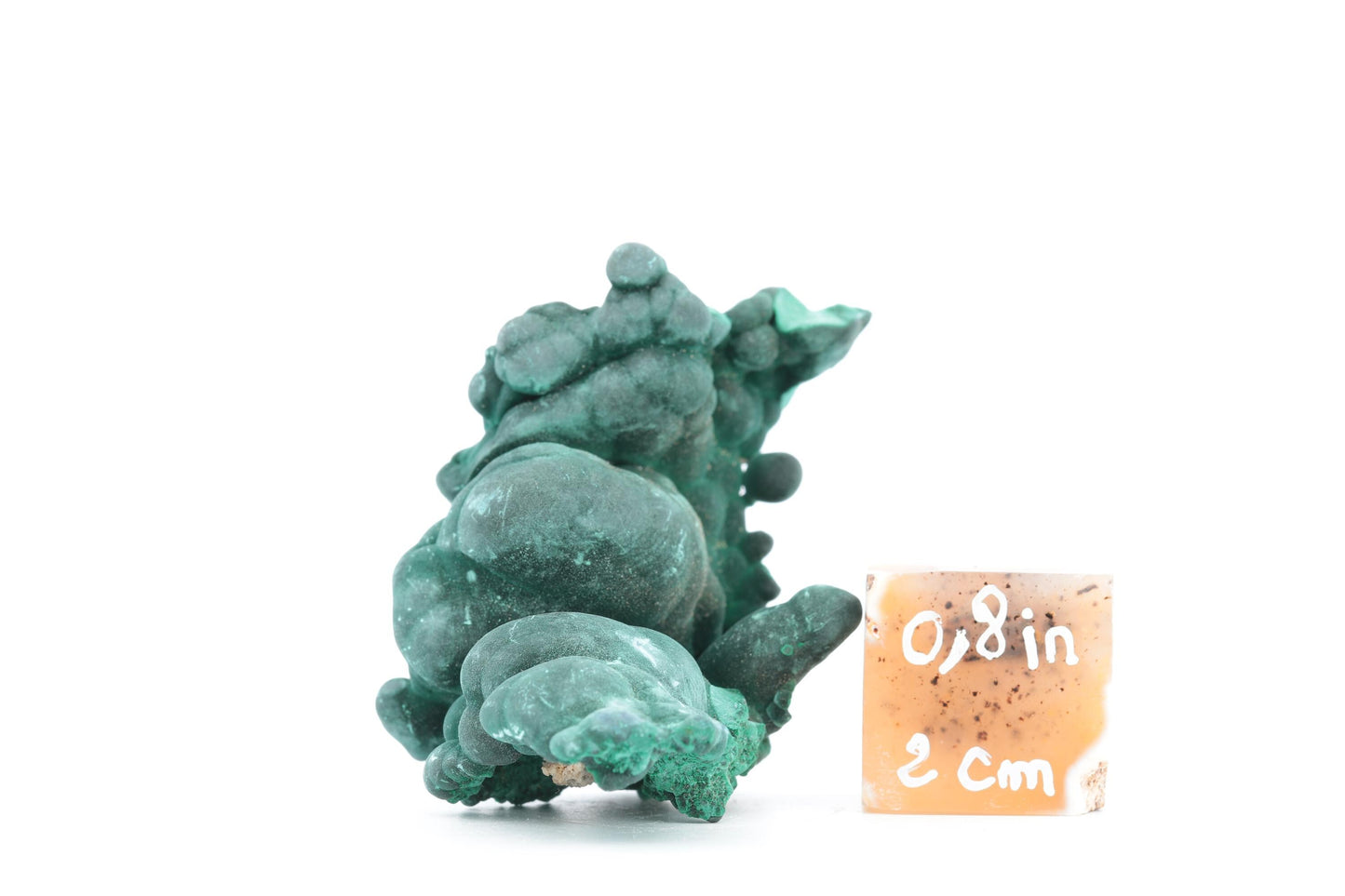 Malachite fibreuse botryoïdale - 47g - Congo - Spécimen unique pour collection