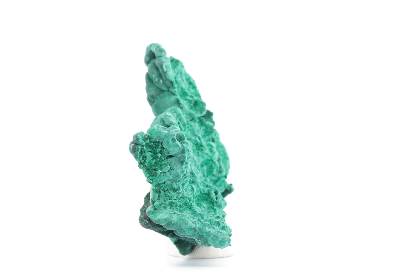 Malachite fibreuse botryoïdale - 53g - Congo - Spécimen unique de collection
