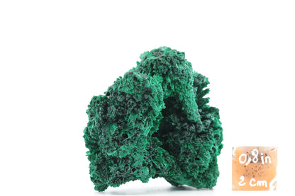 Malachite Fibreuse – République Démocratique du Congo