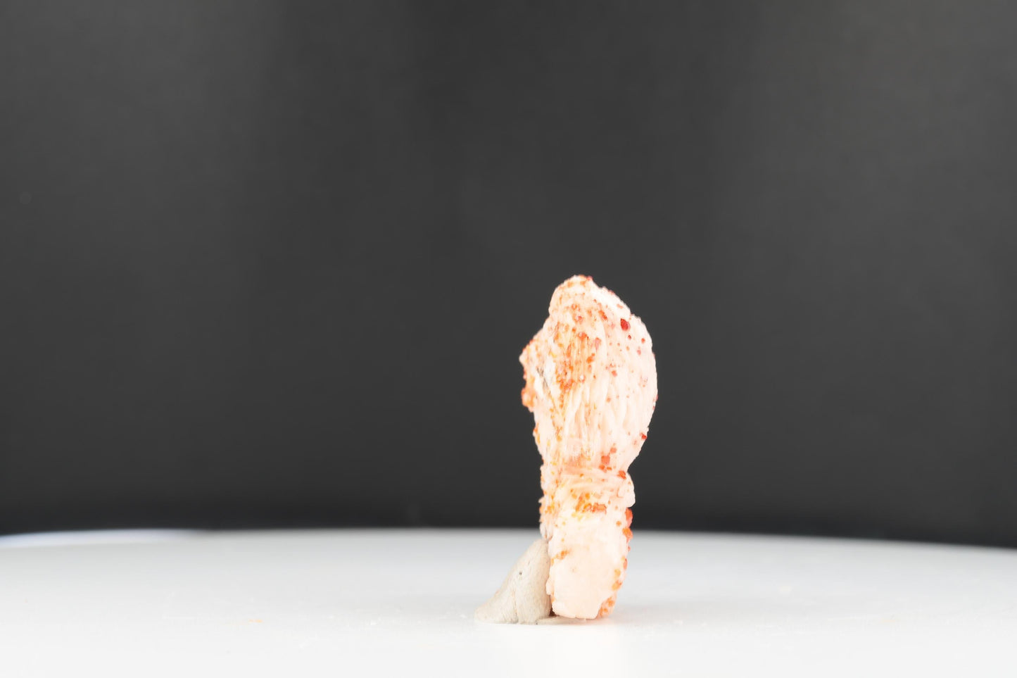 Vanadinite Sur Baryte – Mibladen, Maroc