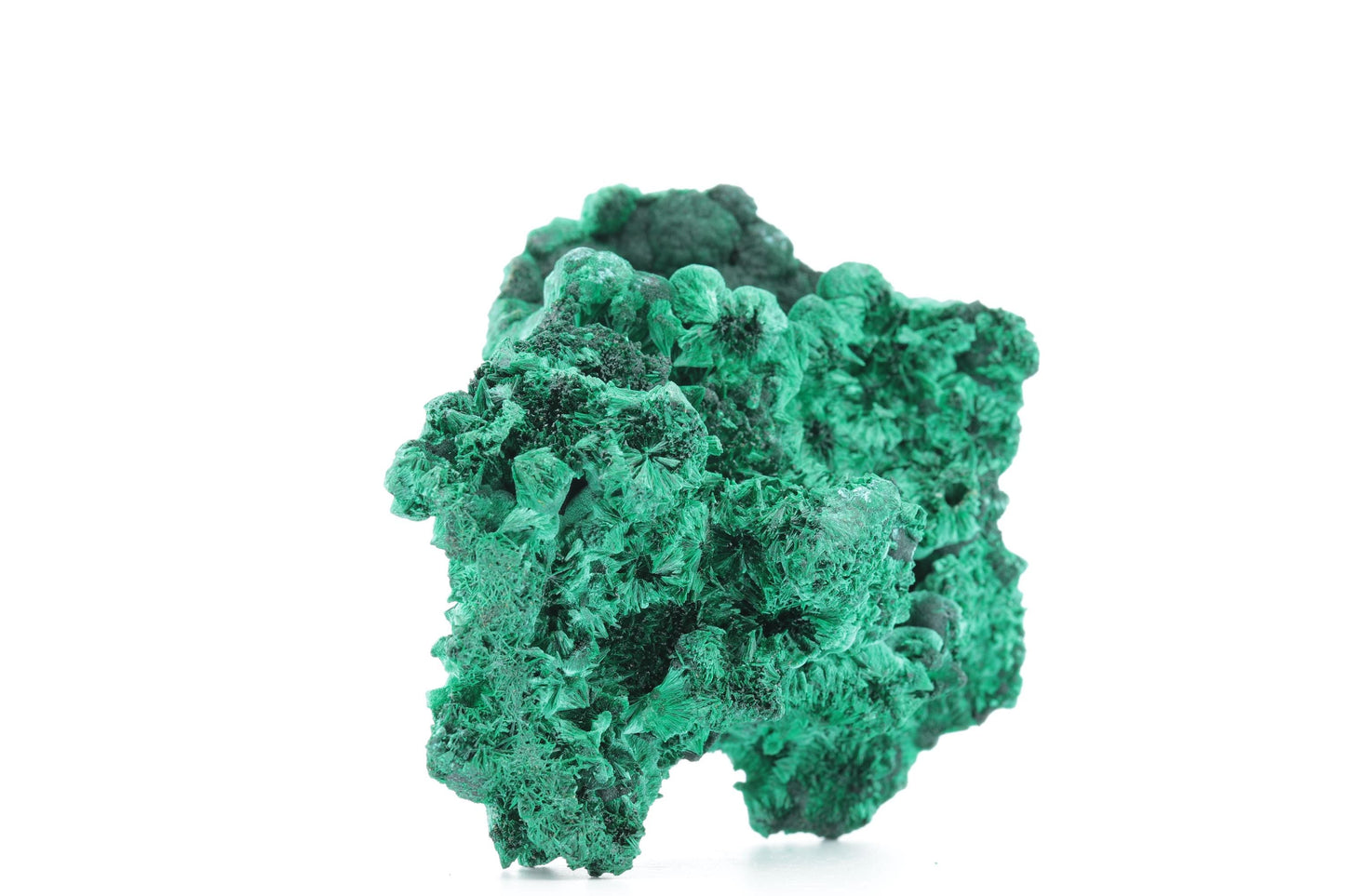 Exceptionnelle Malachite Fibreuse – République Démocratique du Congo