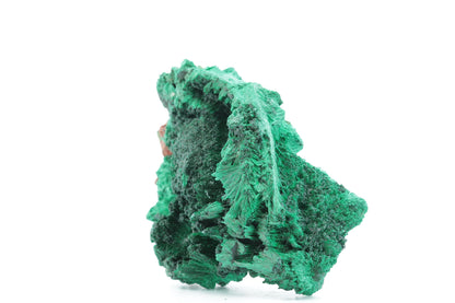Malachite Fibreuse du Congo – Spécimen Naturel Unique de 122g