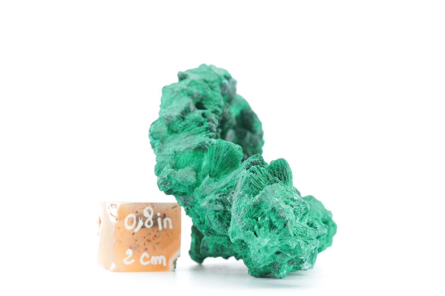 Malachite Fibreuse du Congo – Spécimen Naturel Unique de 195g