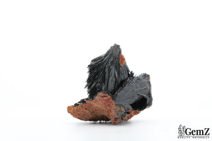 Cristaux de vivianite sur limonite – 32g