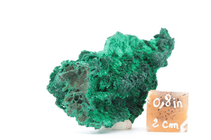 Malachite Fibreuse du Congo – Spécimen Brut Naturel de 72g