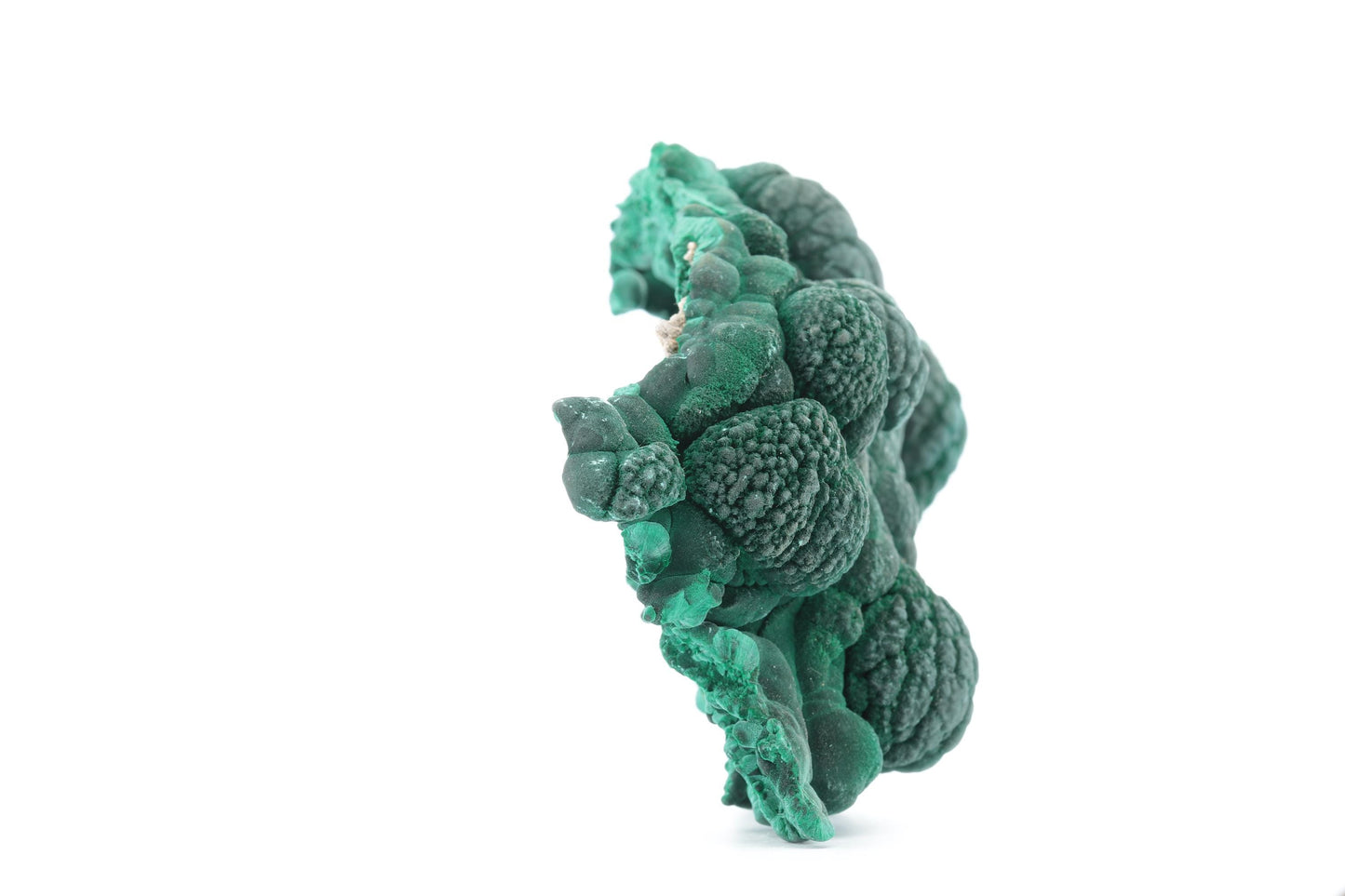 Malachite Fibreuse du Congo – Spécimen Botryoïdal Naturel de 219g