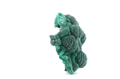 Malachite Fibreuse du Congo – Spécimen Botryoïdal Naturel de 219g
