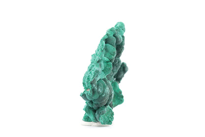 Malachite fibreuse botryoïdale - 53g - Congo - Spécimen unique de collection