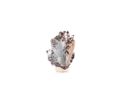 Baryte bleue sur goethite – Sidi Lhcen, Nador, Maroc – 20 g