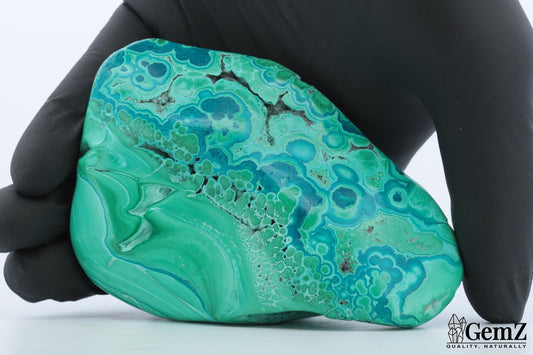 Chrysocolle-Malachite Exceptionnelle, 214g, Motifs Végétaux Uniques