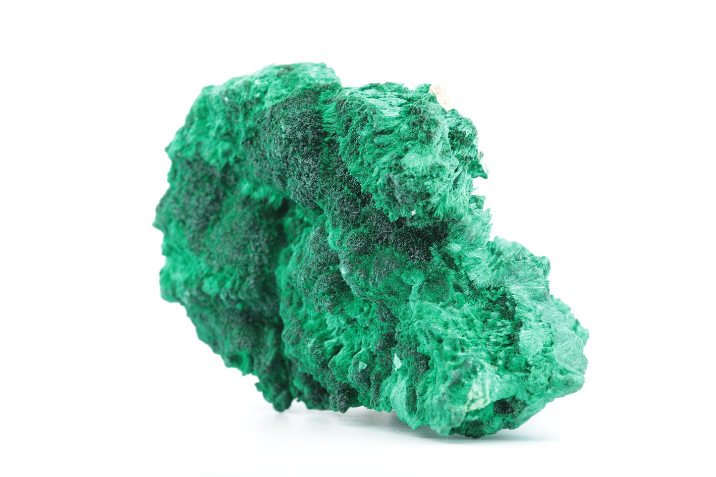 Malachite Fibreuse du Congo – Pièce Naturelle Exceptionnelle de 360g
