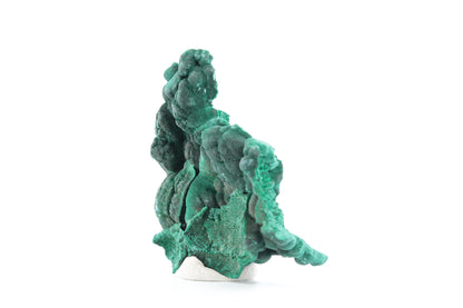 Malachite fibreuse botryoïdale - 53g - Congo - Spécimen unique de collection