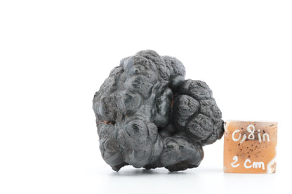 Goethite Botryoïdale du Maroc – 168g