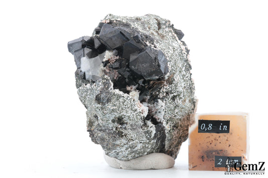 Mélanite sur gangue avec orthose, cristaux intenses