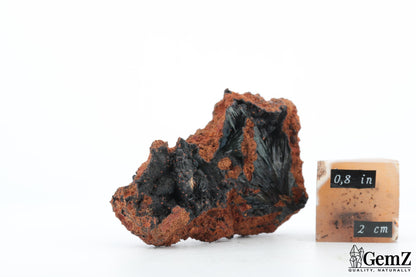 Vivianite éclatante sur limonite – 29g