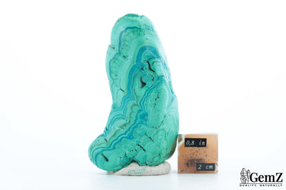 Chrysocolle-Malachite Élégante, 170g, Teintes Vives et Motifs Naturels