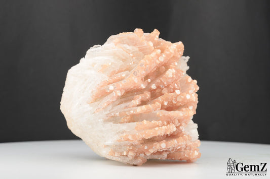 Splendide Cleavelandite de Minas Gerais, Brésil – 194g de Pures Merveilles Minérales