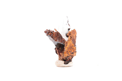 Baryte bleue sur goethite – Sidi Lhcen, Nador, Maroc – 14,7 g