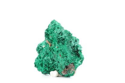 Fascinante Malachite Fibreuse – République Démocratique du Congo