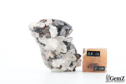 Rare Cassitérite brillante sur quartz cristallisé – 72g !