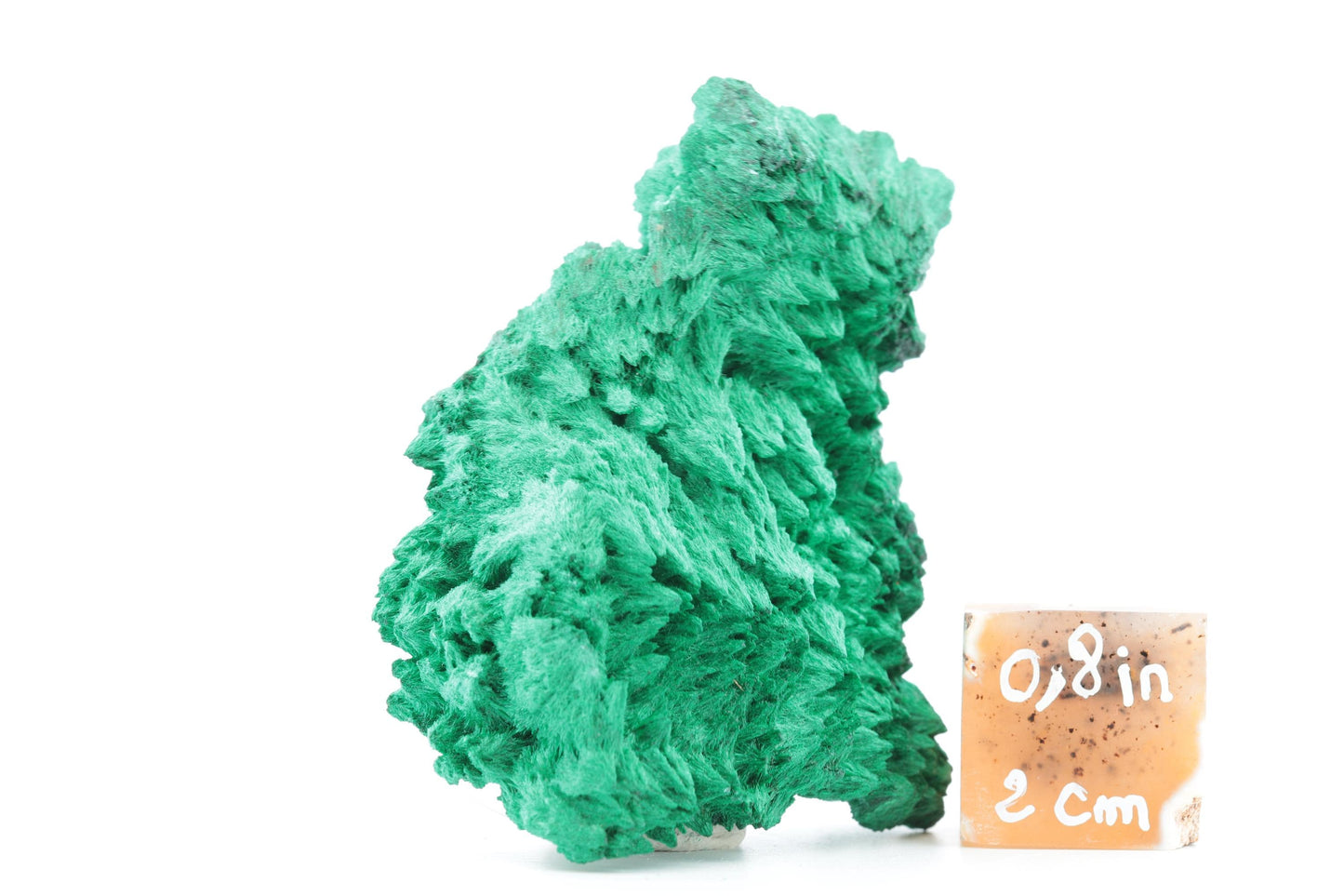 Malachite fibreuse naturelle - 84g - Congo - Spécimen unique de collection