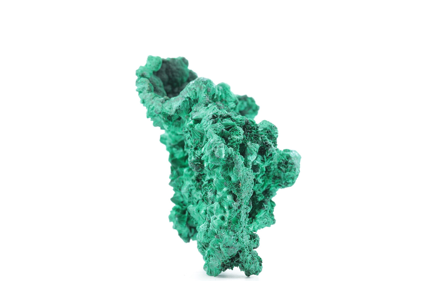 Exceptionnelle Malachite Fibreuse – République Démocratique du Congo