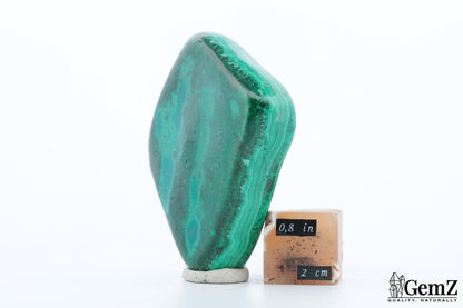 Chrysocolle-Malachite 119g, Éclat Vert Intense et Forme Unique