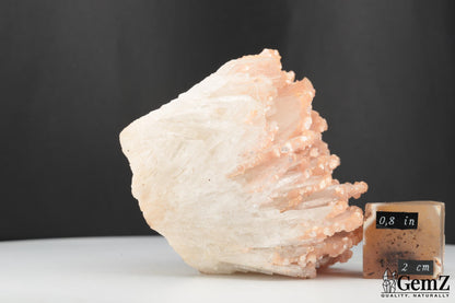 Splendide Cleavelandite de Minas Gerais, Brésil – 194g de Pures Merveilles Minérales